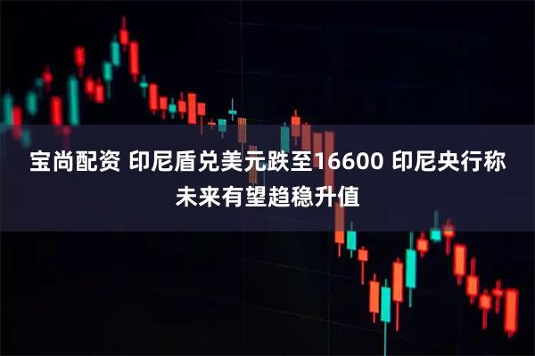 宝尚配资 印尼盾兑美元跌至16600 印尼央行称未来有望趋稳升值