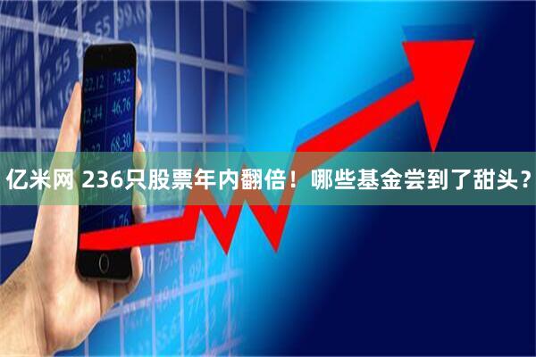 亿米网 236只股票年内翻倍！哪些基金尝到了甜头？