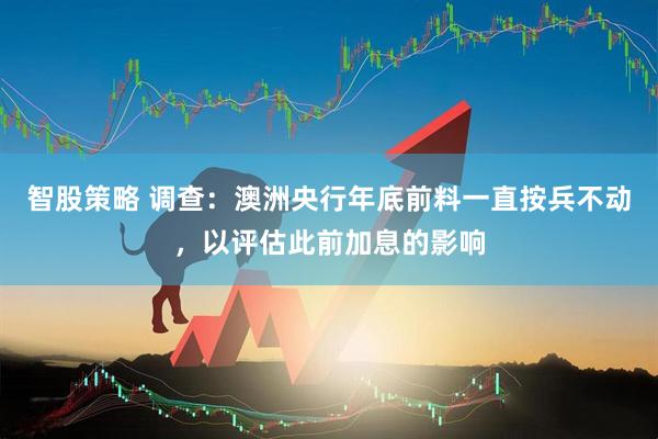 智股策略 调查：澳洲央行年底前料一直按兵不动，以评估此前加息的影响