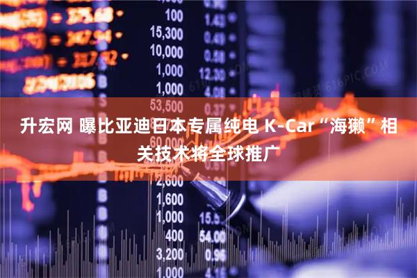升宏网 曝比亚迪日本专属纯电 K-Car“海獭”相关技术将全球推广